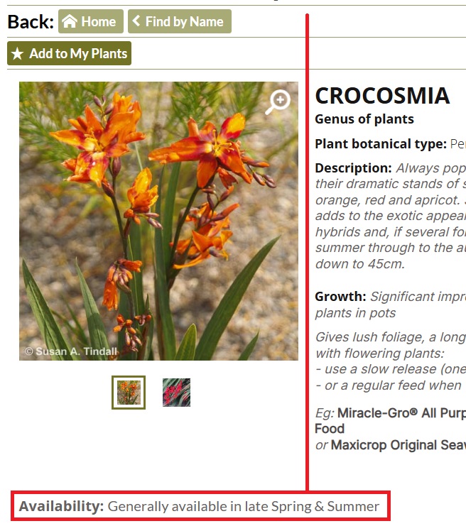 Seasonal availability on Plant Pages