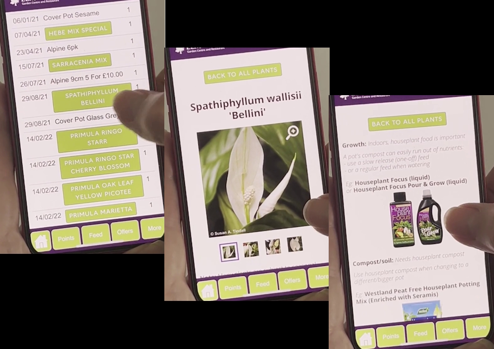 Care, and Products, for the plants you purchased